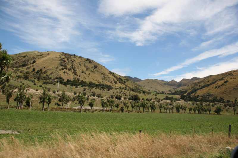 Nieuw-Zeeland 2011 - 1275